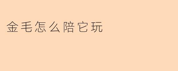 “5个超有趣的互动游戏，让金毛玩到停不下来！”