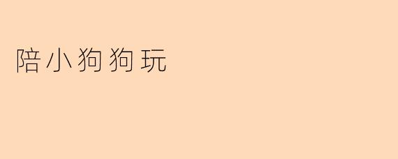 陪小狗狗玩时需要注意什么？