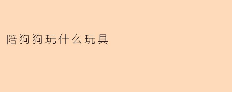 陪狗狗玩什么玩具
