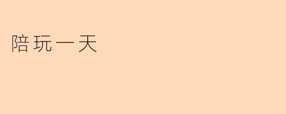 陪玩一天