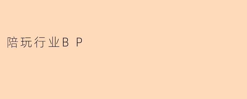 陪玩行业BP