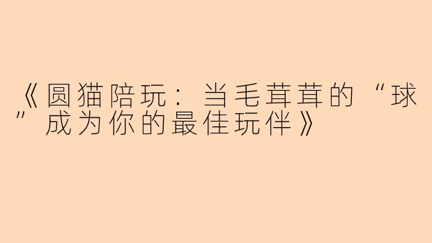 《圆猫陪玩：当毛茸茸的“球”成为你的最佳玩伴》