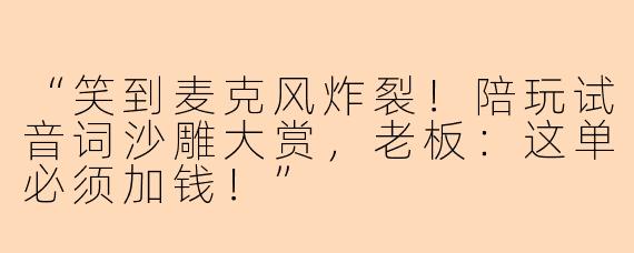 “笑到麦克风炸裂！陪玩试音词沙雕大赏，老板：这单必须加钱！”