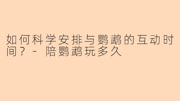 如何科学安排与鹦鹉的互动时间？-陪鹦鹉玩多久