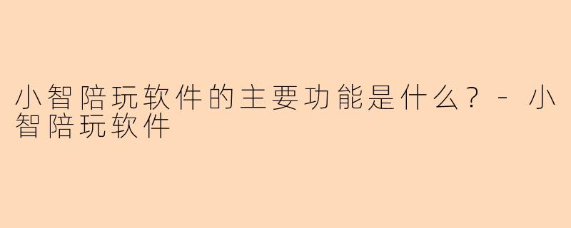 小智陪玩软件的主要功能是什么?