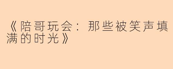 《陪哥玩会：那些被笑声填满的时光》