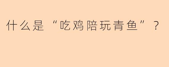 什么是“吃鸡陪玩青鱼”？