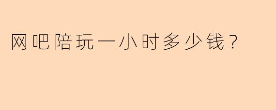 网吧陪玩一小时多少钱？