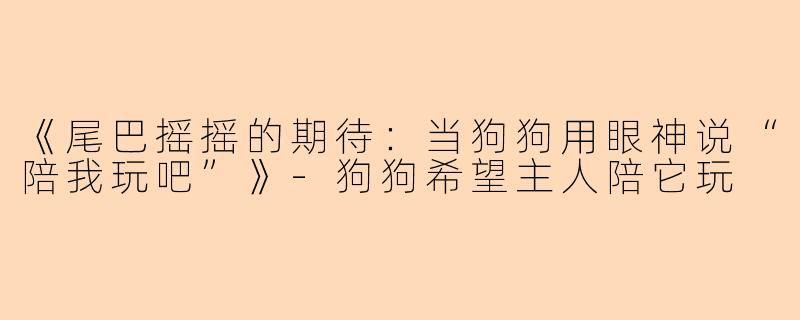 《尾巴摇摇的期待：当狗狗用眼神说“陪我玩吧”》-狗狗希望主人陪它玩