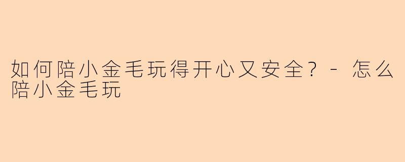 如何陪小金毛玩得开心又安全？-怎么陪小金毛玩