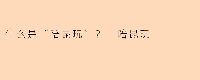 什么是“陪昆玩”？-陪昆玩