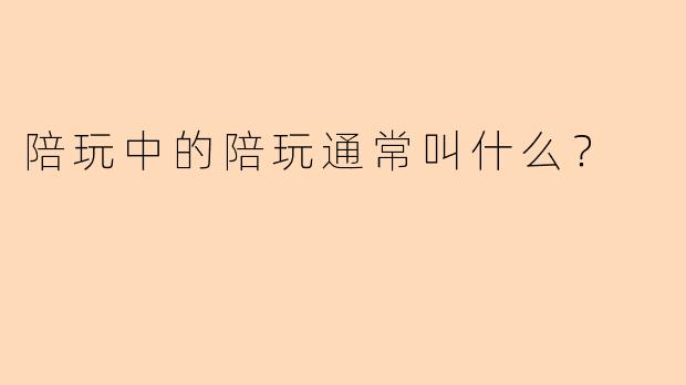 陪玩中的陪玩通常叫什么？