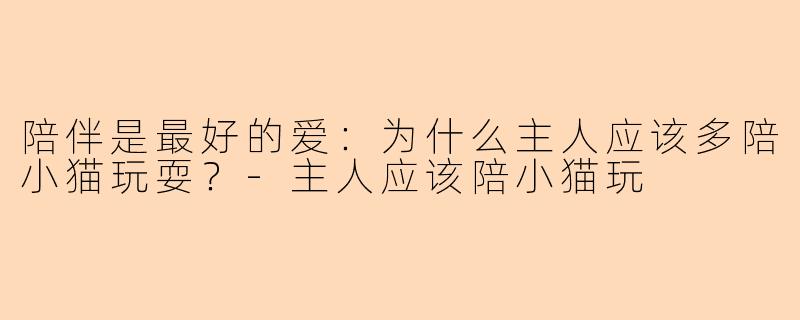 陪伴是最好的爱：为什么主人应该多陪小猫玩耍？-主人应该陪小猫玩