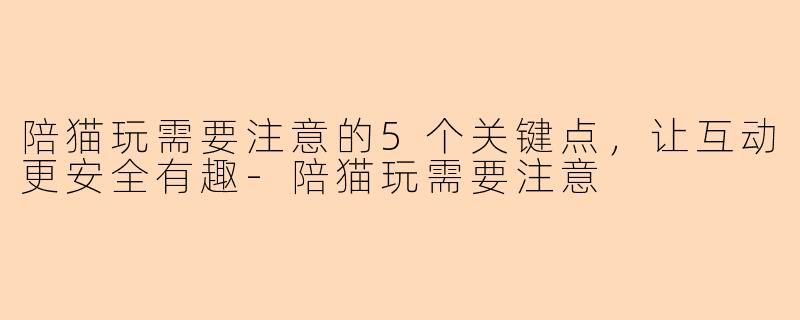 陪猫玩需要注意的5个关键点，让互动更安全有趣-陪猫玩需要注意