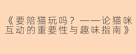 《要陪猫玩吗？——论猫咪互动的重要性与趣味指南》