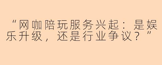 “网咖陪玩服务兴起：是娱乐升级，还是行业争议？”
