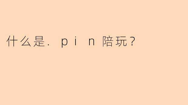 什么是.pin陪玩?