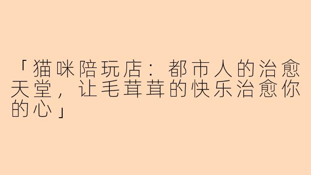 「猫咪陪玩店：都市人的治愈天堂，让毛茸茸的快乐治愈你的心」