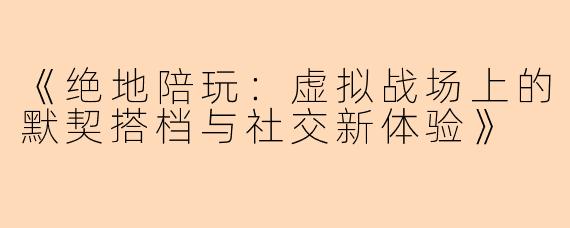 《绝地陪玩：虚拟战场上的默契搭档与社交新体验》