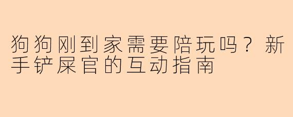 狗狗刚到家需要陪玩吗？新手铲屎官的互动指南
