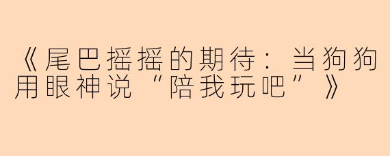 《尾巴摇摇的期待:当狗狗用眼神说“陪我玩吧”》