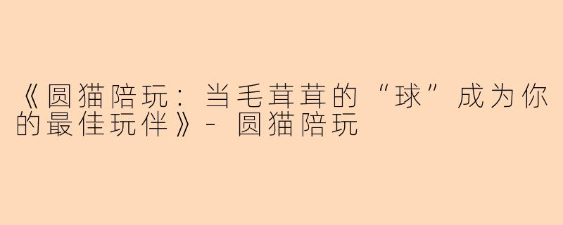 《圆猫陪玩：当毛茸茸的“球”成为你的最佳玩伴》-圆猫陪玩