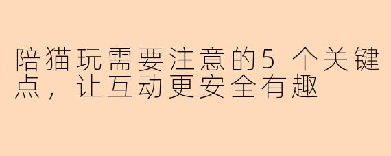 陪猫玩需要注意的5个关键点，让互动更安全有趣