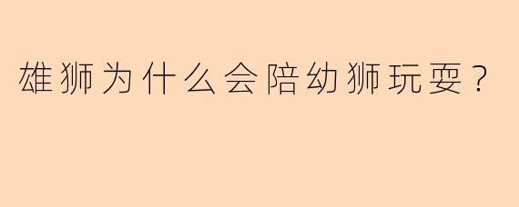 雄狮为什么会陪幼狮玩耍？