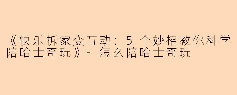 《快乐拆家变互动：5个妙招教你科学陪哈士奇玩》-怎么陪哈士奇玩