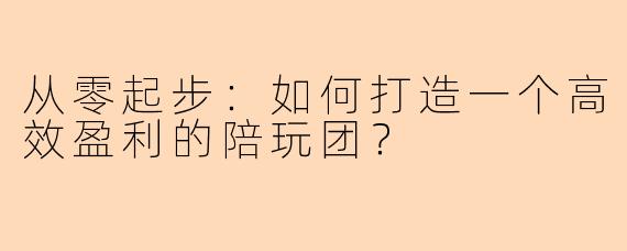 从零起步：如何打造一个高效盈利的陪玩团？