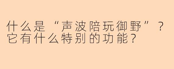 什么是“声波陪玩御野”？它有什么特别的功能？