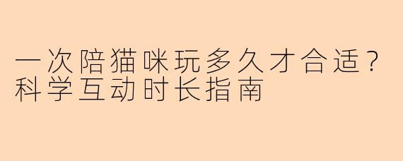 一次陪猫咪玩多久才合适？科学互动时长指南