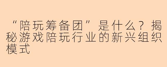 “陪玩筹备团”是什么？揭秘游戏陪玩行业的新兴组织模式