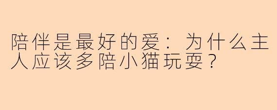 陪伴是最好的爱：为什么主人应该多陪小猫玩耍？