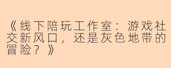《线下陪玩工作室：游戏社交新风口，还是灰色地带的冒险？》