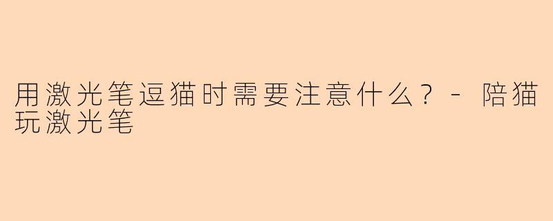 用激光笔逗猫时需要注意什么？-陪猫玩激光笔