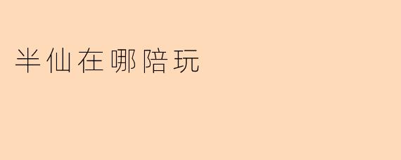 半仙在哪陪玩