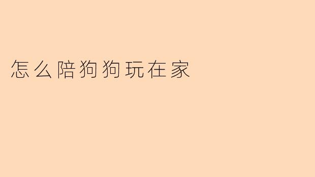 怎么陪狗狗玩在家