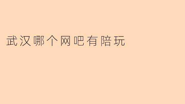 武汉哪个网吧有陪玩