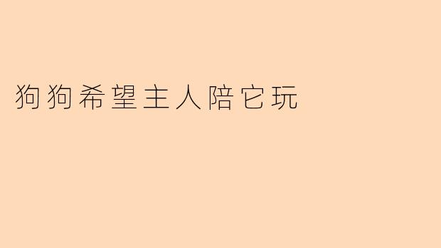 狗狗希望主人陪它玩