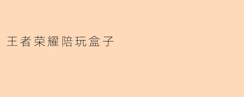 王者荣耀陪玩盒子