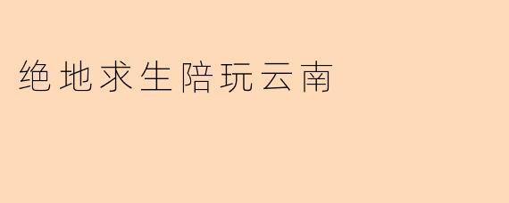 绝地求生陪玩云南