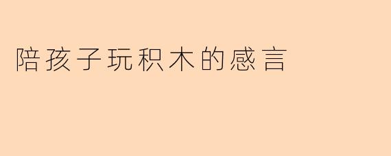 陪孩子玩积木的感言