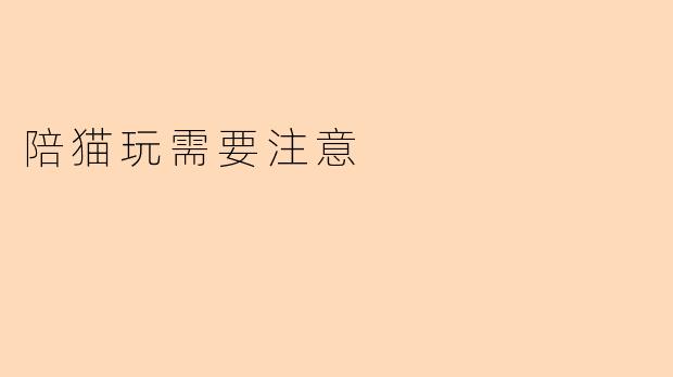 陪猫玩需要注意