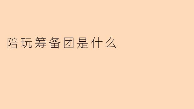 陪玩筹备团是什么