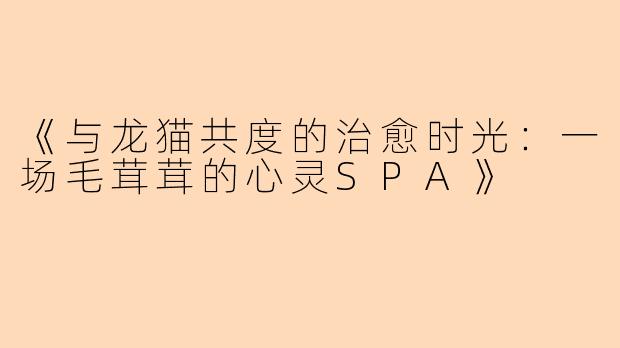 《与龙猫共度的治愈时光：一场毛茸茸的心灵SPA》