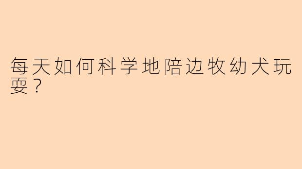 每天如何科学地陪边牧幼犬玩耍？
