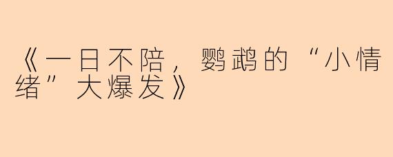 《一日不陪，鹦鹉的“小情绪”大爆发》