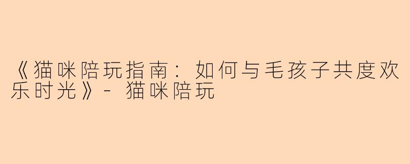 《猫咪陪玩指南：如何与毛孩子共度欢乐时光》-猫咪陪玩