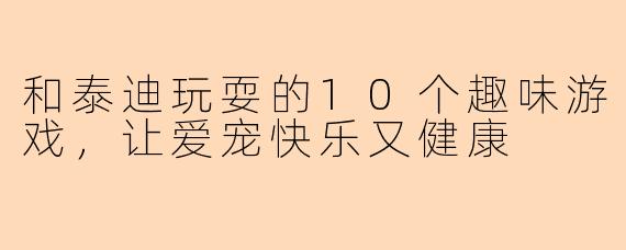 和泰迪玩耍的10个趣味游戏，让爱宠快乐又健康